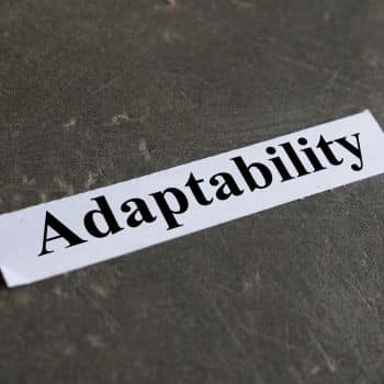 Increased Adaptability and flexibility